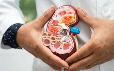 Remedy Gallbladder Stones