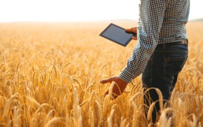 Effects on Agriculture