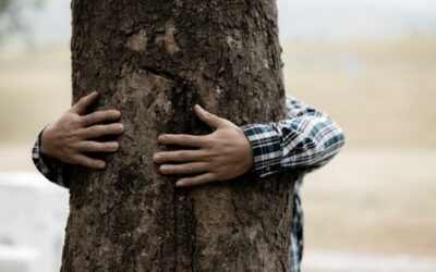 Remedy for Destructive nature